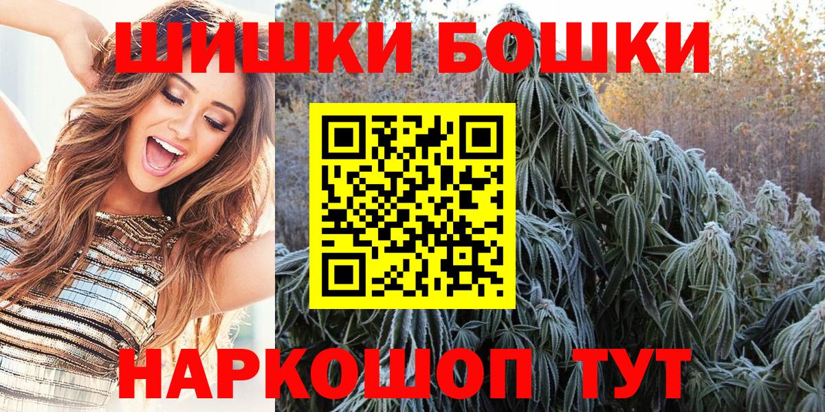 Конопля сатива Гусев